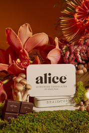 Alice Mushrooms Brainstorm Focus Chocolates