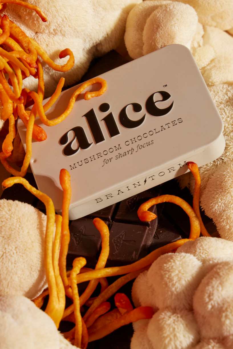Alice Mushrooms Brainstorm Focus Chocolates