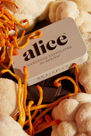 Alice Mushrooms Brainstorm Focus Chocolates