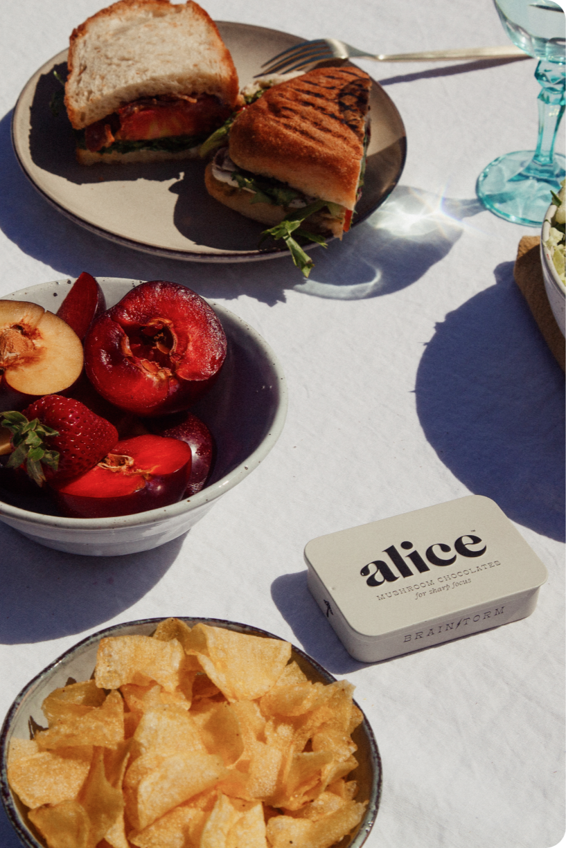 Alice Mushrooms Brainstorm Focus Chocolates