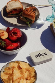 Alice Mushrooms Brainstorm Focus Chocolates
