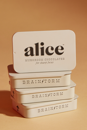Alice Mushrooms Brainstorm Focus Chocolates