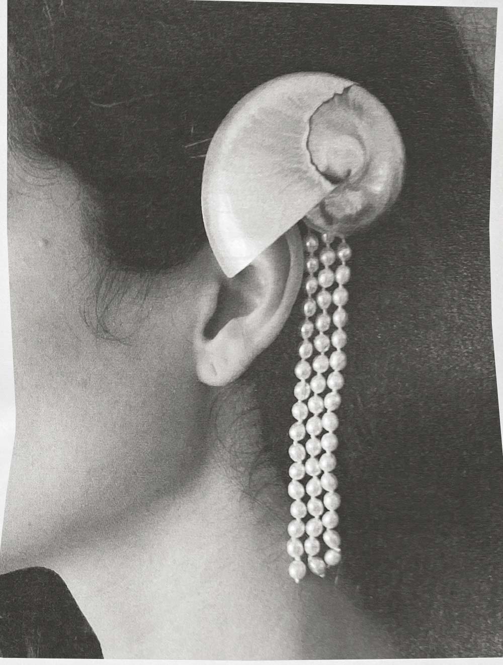 Mosquito Nautilus Hair Clip