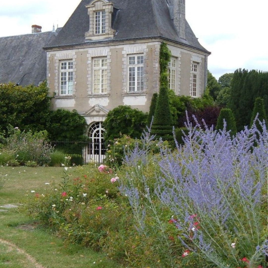 Curated Edit - French Countryside