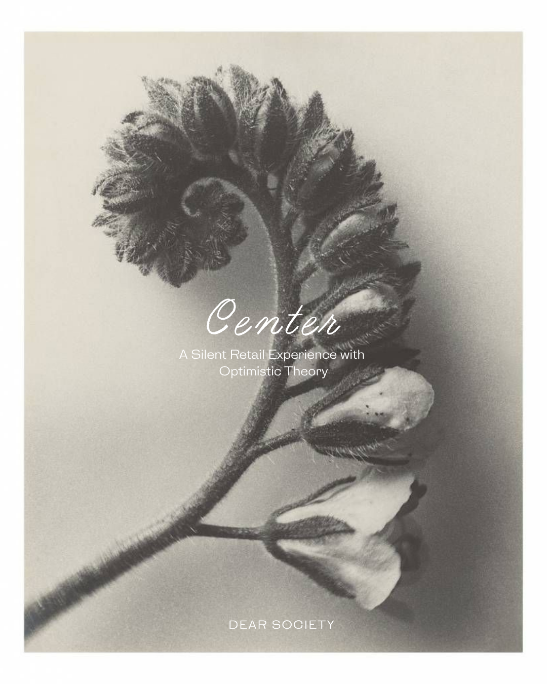 Center: A Silent Retail Experience with Optimistic Theory