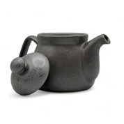 Inoue Tea - Kuro Nunome Matte Black Mino-yaki Kyusu - Japanese Teapot