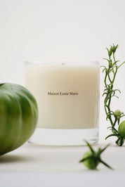Maison Louis Marie Liane de Tomate Candle