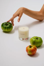 Maison Louis Marie Liane de Tomate Candle