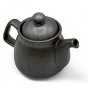 Inoue Tea - Kuro Nunome Matte Black Mino-yaki Kyusu - Japanese Teapot