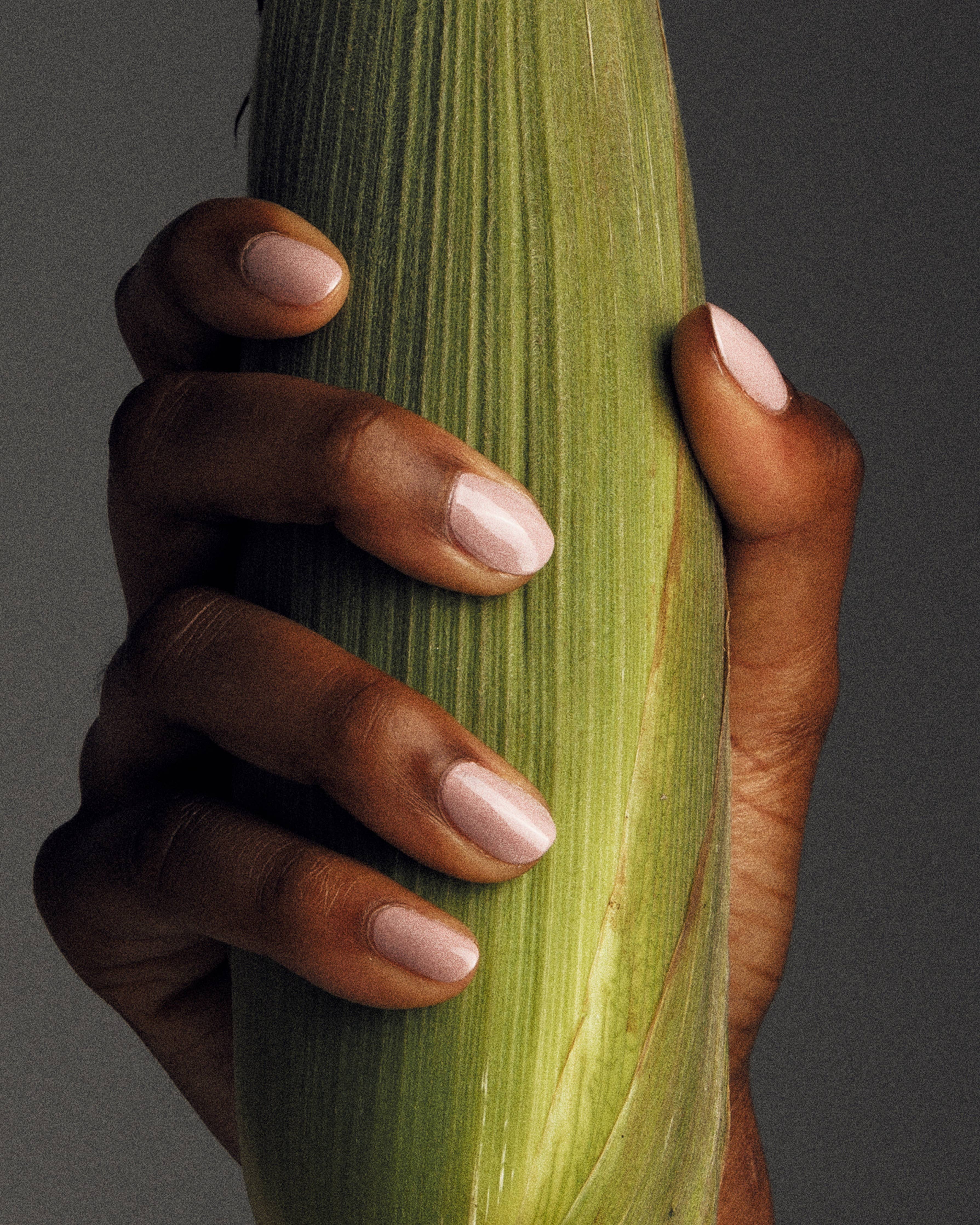 SSONE Wisteria Nail Lacquer
