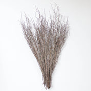 Roxanne's Dried Flowers - Sweet Huck Branches: 8 oz / Natural