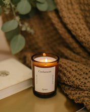 Brooklyn Candle Studio Cardamom Spice Fall Candle