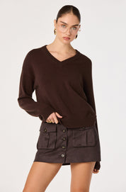 Brown V-Neck Bowie Sweater
