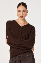 Brown V-Neck Bowie Sweater