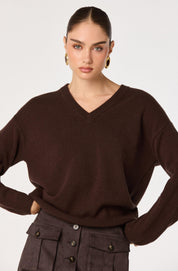 Brown V-Neck Bowie Sweater