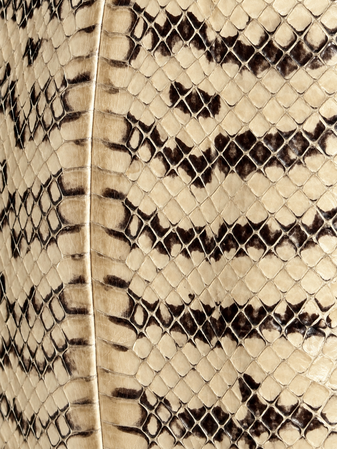 Vintage Saks Snakeskin Purse