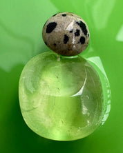 Mussels and Muscles Pebbles Earrings No. 1 - Dalmatian