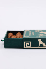 Dream Lion Incense - Mayan Copal + Desert Sage Incense Cones