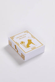 Dream Lion Incense - Nine Treasures Incense Cones