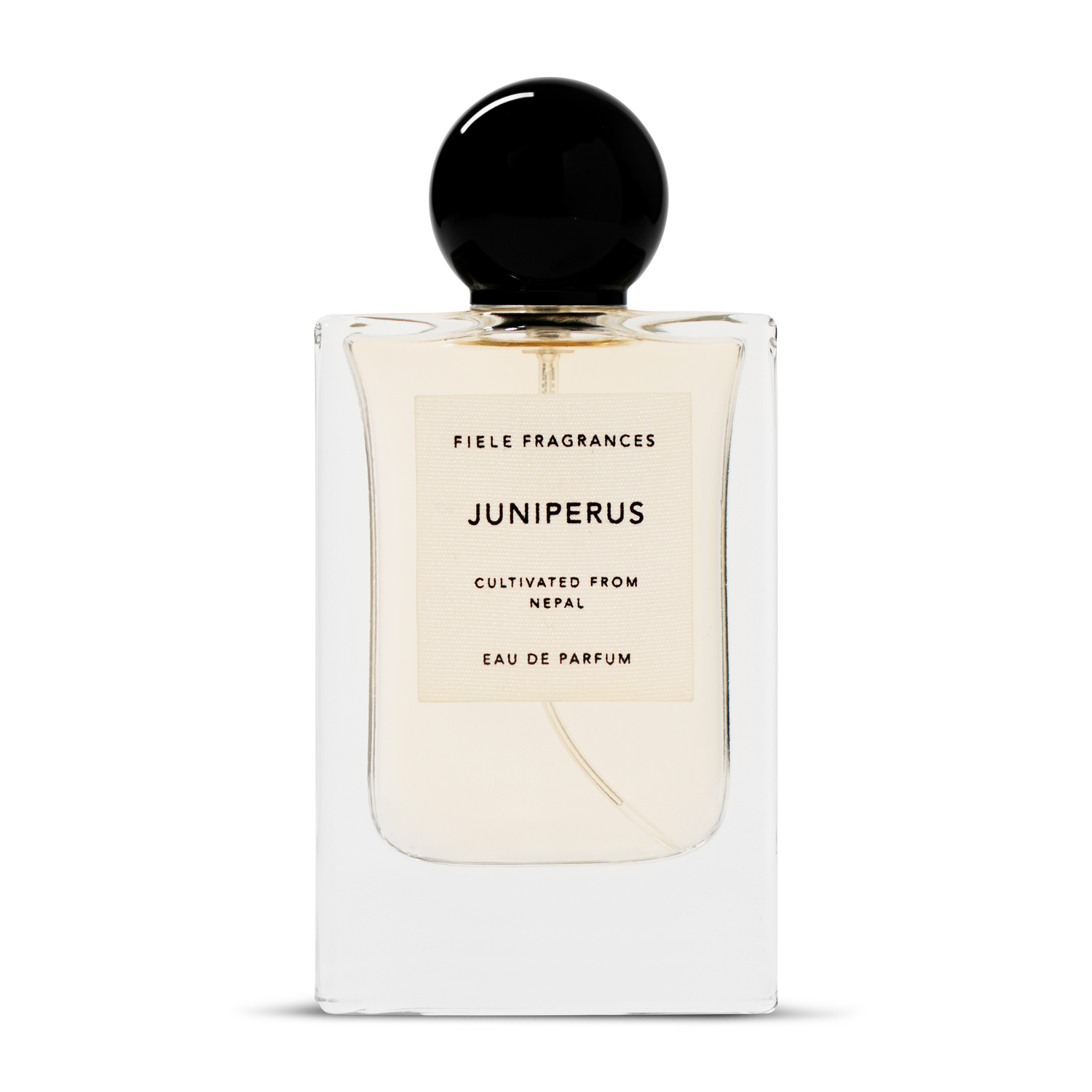 juniperus_copy_281_29.png