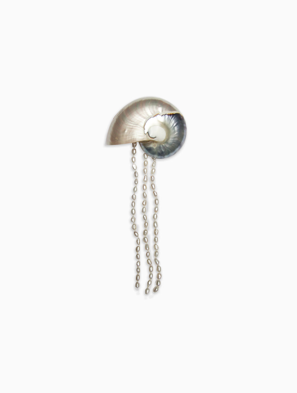 Mosquito Nautilus Hair Clip